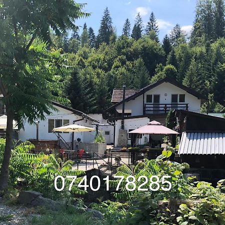 Podul De Brazi - Fir Bridge Villa Cîrţişoara Eksteriør billede