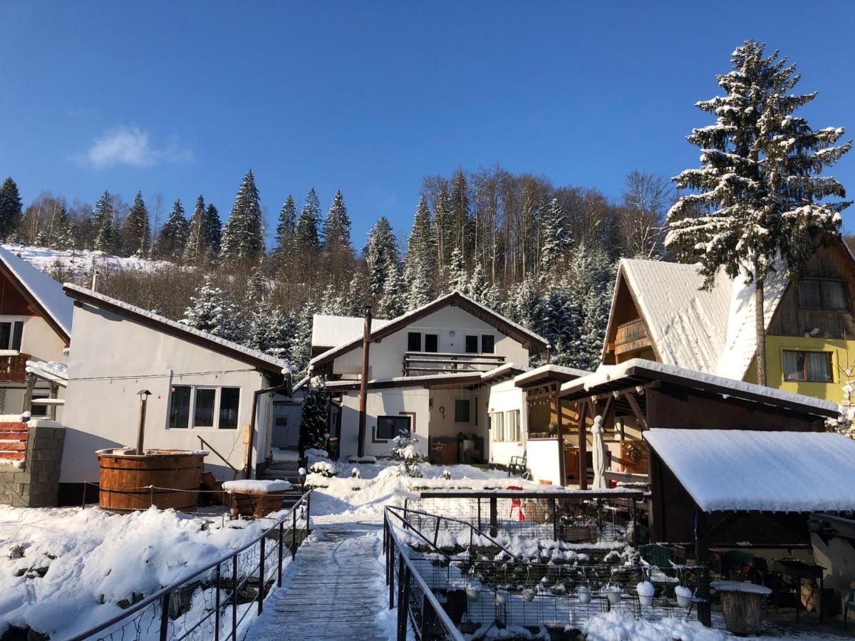 Podul De Brazi - Fir Bridge Villa Cîrţişoara Eksteriør billede