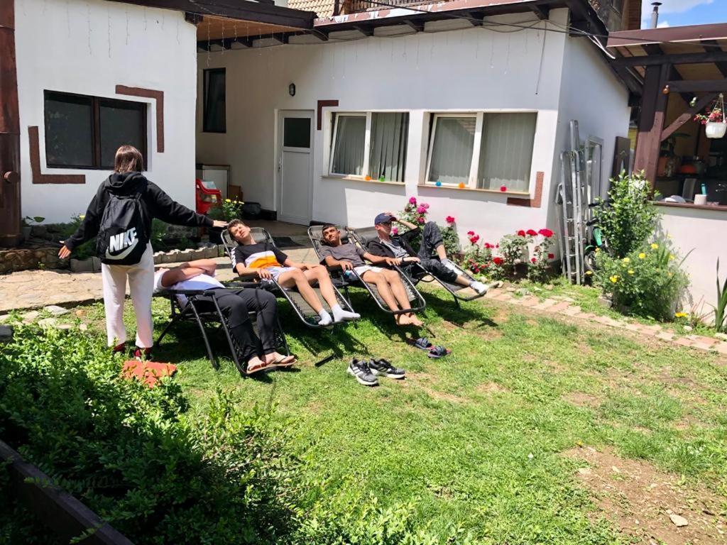 Podul De Brazi - Fir Bridge Villa Cîrţişoara Eksteriør billede