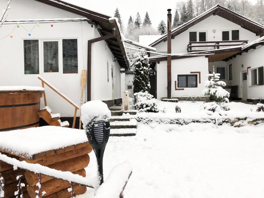 Podul De Brazi - Fir Bridge Villa Cîrţişoara Eksteriør billede