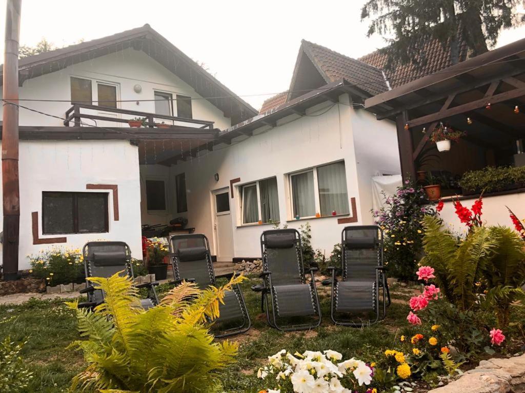 Podul De Brazi - Fir Bridge Villa Cîrţişoara Eksteriør billede