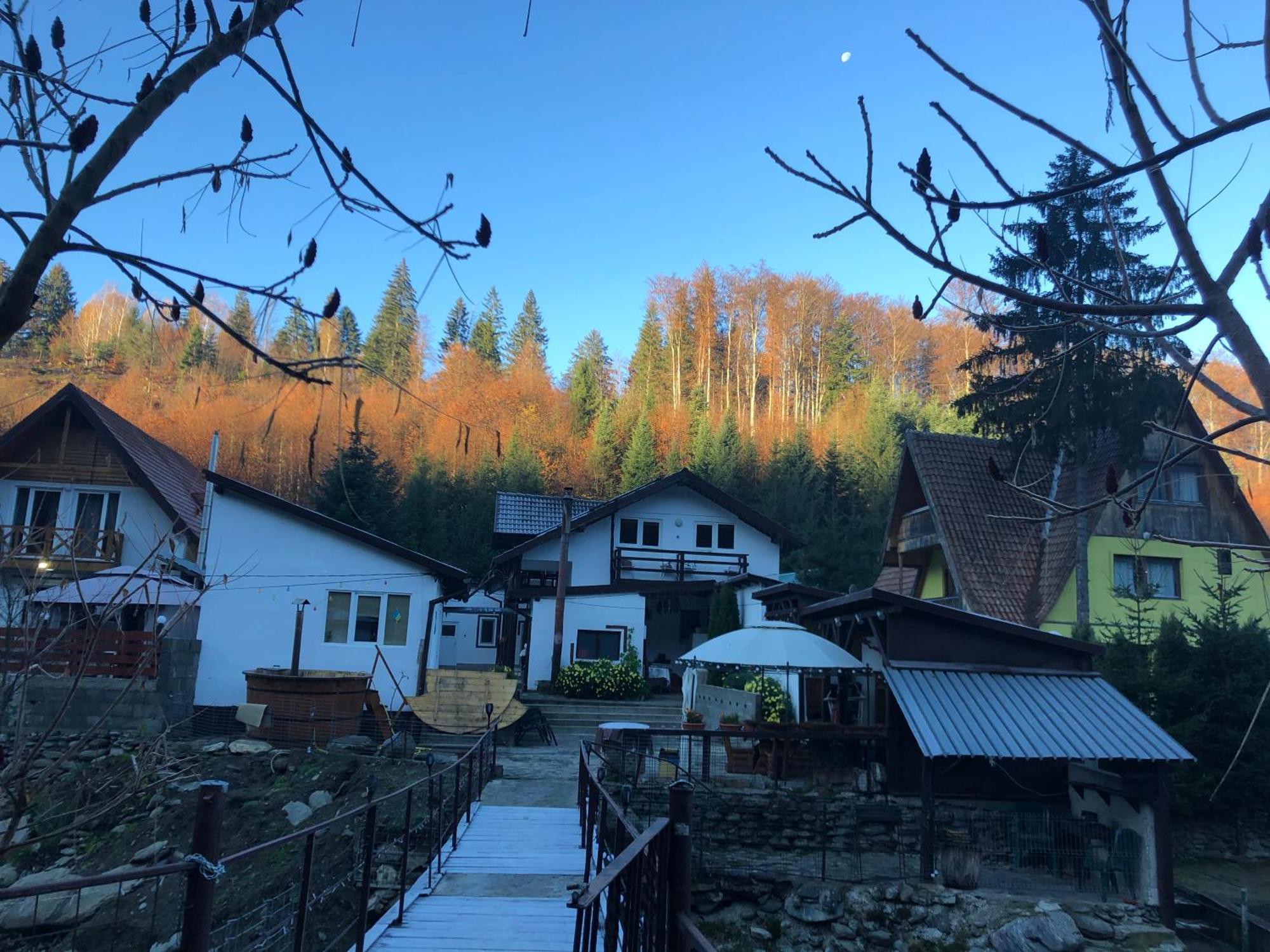 Podul De Brazi - Fir Bridge Villa Cîrţişoara Eksteriør billede