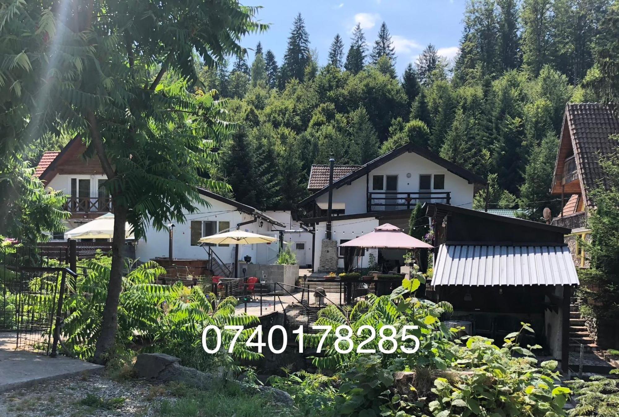 Podul De Brazi - Fir Bridge Villa Cîrţişoara Eksteriør billede